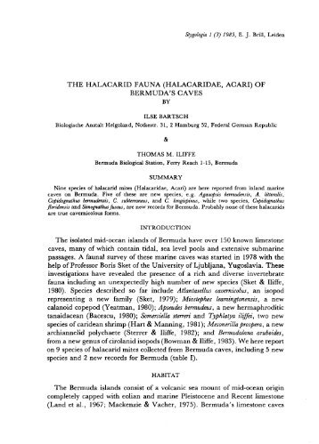 THE HALACARID FAUNA (HALACARIDAE, ACARI) OF ...