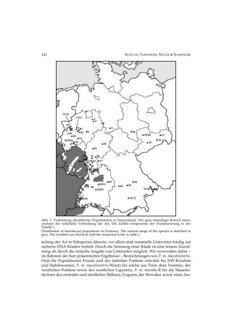 Allochthone Vorkommen der Mauereidechse ... - Podarcis.eu