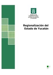 RegionalizaciÃƒÂ³n del Estado de YucatÃƒÂ¡n 2008 - Gobierno del Estado ...