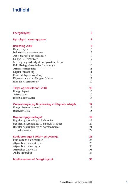 Publikationen i pdf-format - Energitilsynet