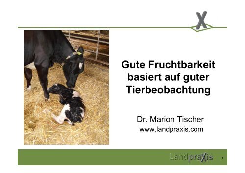 Dr. M.Tischer - Gute Fruchtbarkeit basiert auf guter Tierbeobachtung