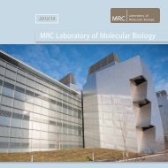 Latest Lab Brochure - LMB Home - University of Cambridge