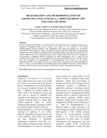 regeneration and micropropagation of grapevine - BioIT ...