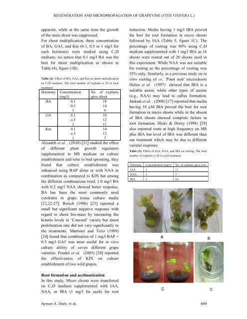regeneration and micropropagation of grapevine - BioIT ...
