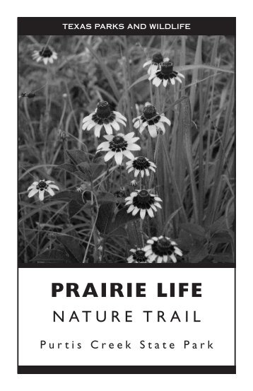 Prairie Life Nature Trail at Purtis Creek State Park - Texas Parks ...