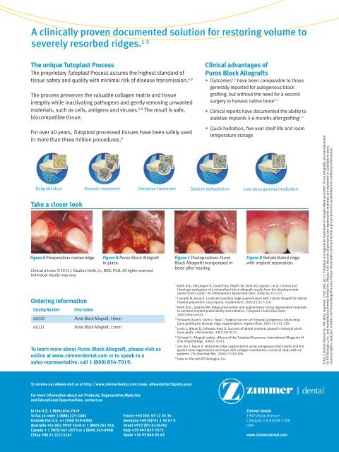 Puros Block - Zimmer Dental