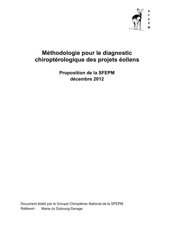 Diag-SFEPM-eolien_vF.. - SociÃ©tÃ© FranÃ§aise pour l'Etude et la ...