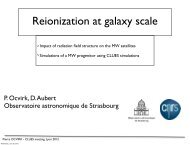 P. Ocvirk, D. Aubert Observatoire astronomique de ... - CLUES-Project