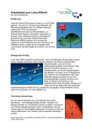Arbeitsblatt zum Lotus-EffectÂ® - Inspiration Natur â Patentwerkstatt ...