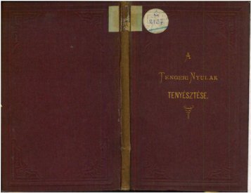 Grubiczy GÃ©yza âA tengeri nyÃºlak tenyÃ©sztÃ©se. 1875.
