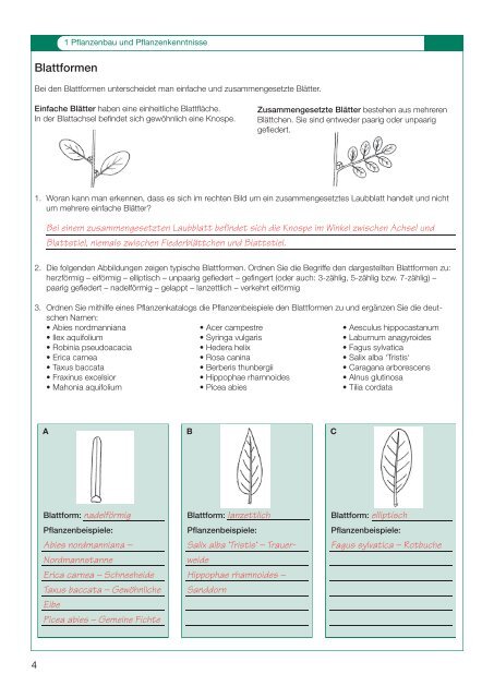 Probeseiten (pdf) - Verlag Handwerk und Technik