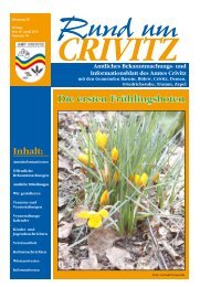 Die ersten Frühlingsboten - Amt Crivitz