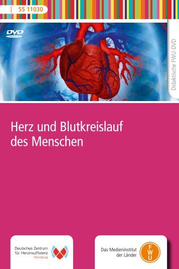 Herz und Blutkreislauf des Menschen - FWU