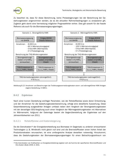 DBFZ Report Nr. 18 - Deutsches Biomasseforschungszentrum