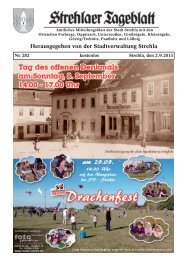 Strehlaer Tageblatt - Stadt Strehla