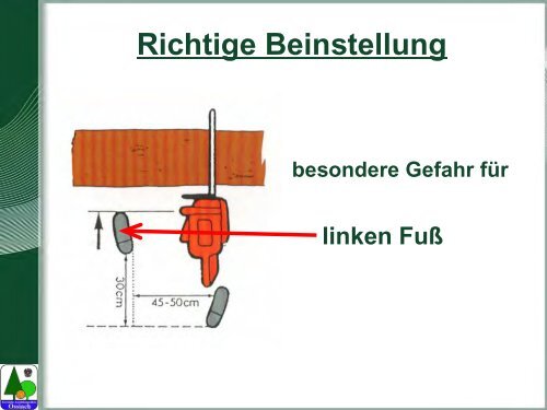 Waldarbeit und Unfallverhütung.pdf - BFW