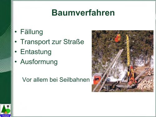 Waldarbeit und Unfallverhütung.pdf - BFW