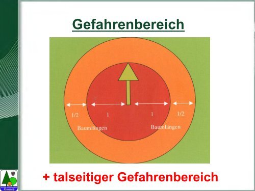 Waldarbeit und Unfallverhütung.pdf - BFW