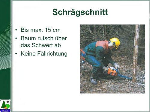 Waldarbeit und Unfallverhütung.pdf - BFW