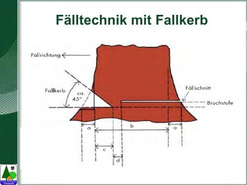 Waldarbeit und Unfallverhütung.pdf - BFW