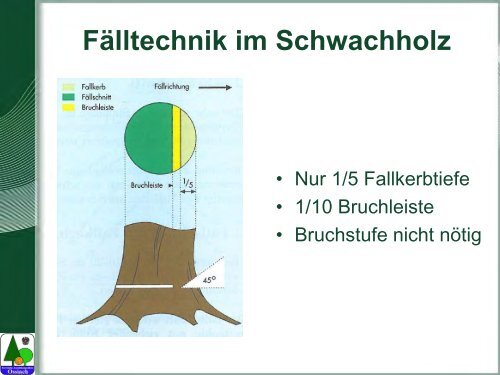 Waldarbeit und Unfallverhütung.pdf - BFW