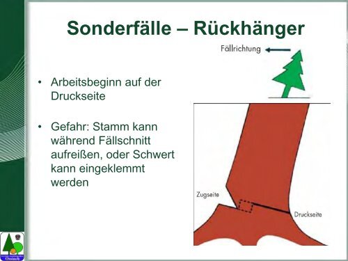 Waldarbeit und Unfallverhütung.pdf - BFW