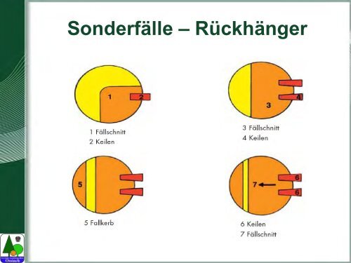 Waldarbeit und Unfallverhütung.pdf - BFW