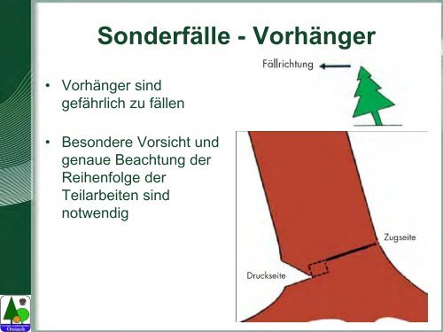 Waldarbeit und Unfallverhütung.pdf - BFW