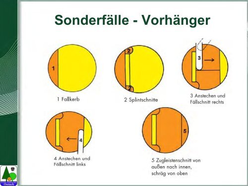 Waldarbeit und Unfallverhütung.pdf - BFW