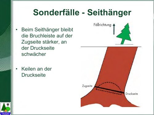 Waldarbeit und Unfallverhütung.pdf - BFW