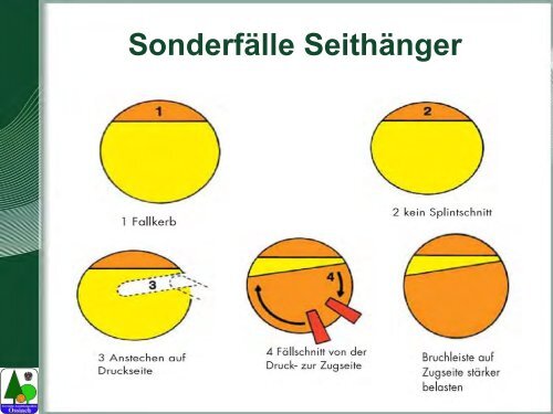 Waldarbeit und Unfallverhütung.pdf - BFW