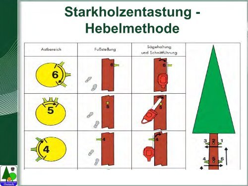 Waldarbeit und Unfallverhütung.pdf - BFW