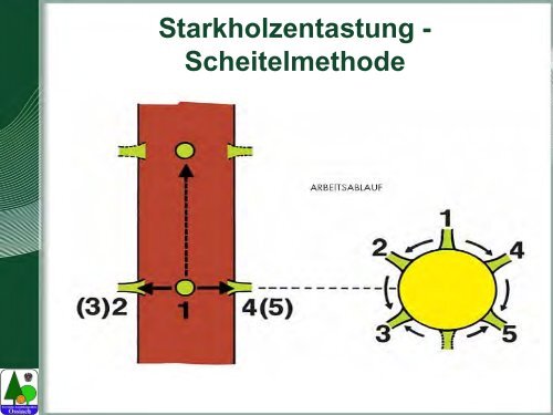 Waldarbeit und Unfallverhütung.pdf - BFW