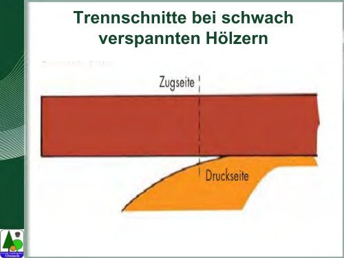 Waldarbeit und Unfallverhütung.pdf - BFW