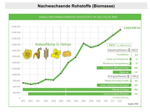 Text anzeigen (PDF) - bei DuEPublico