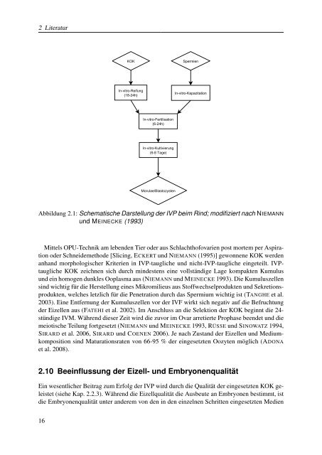 Tierärztliche Hochschule Hannover Einfluss unterschiedlicher ...