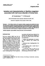 Isolation and characterization of Bacillus coagulans associated with ...