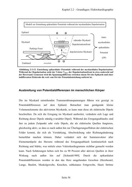 Rekonstruktion und Simulation der Ausbreitung ... - OPUS Würzburg