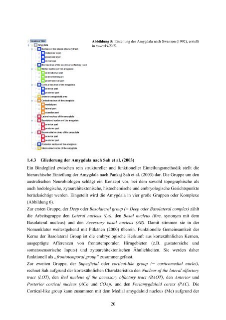 Das Amygdala-Konnektom der Ratte - RosDok - Universität Rostock