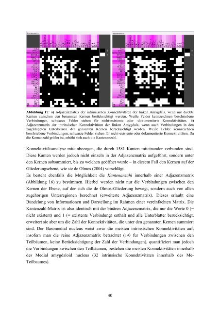 Das Amygdala-Konnektom der Ratte - RosDok - Universität Rostock