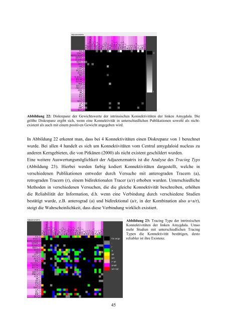 Das Amygdala-Konnektom der Ratte - RosDok - Universität Rostock