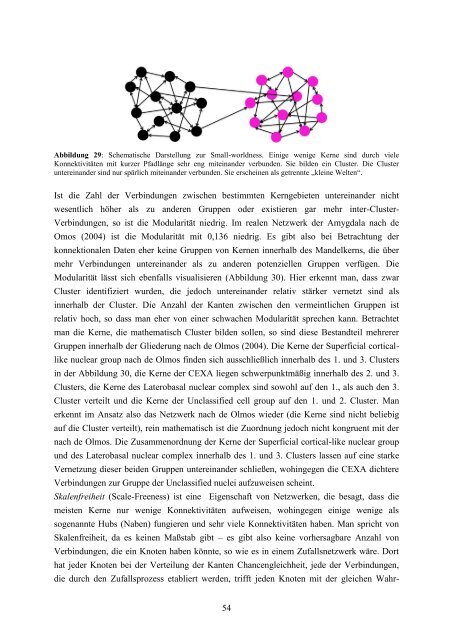 Das Amygdala-Konnektom der Ratte - RosDok - Universität Rostock