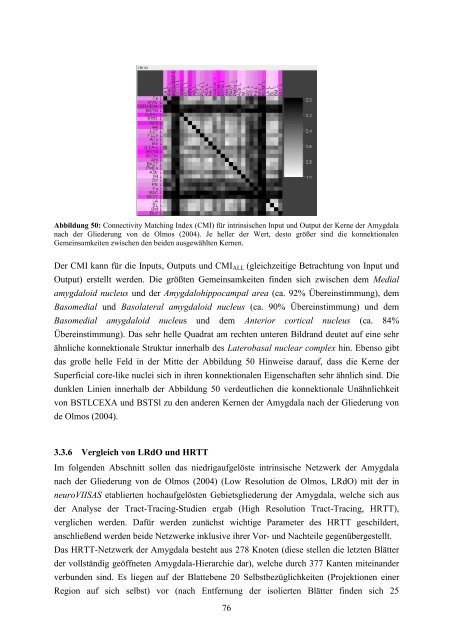 Das Amygdala-Konnektom der Ratte - RosDok - Universität Rostock