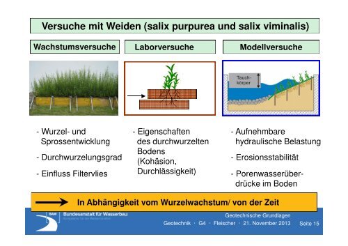 23 MB - Alternative technisch-biologische Ufersicherungen an ...