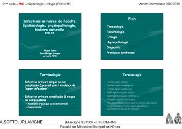 Infections urinaires de l'adulte Épidémiologie, physiopathologie, hi ...