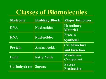 Classes of Biomolecules