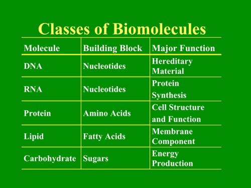 Classes of Biomolecules