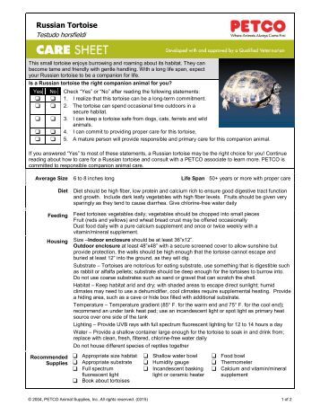 petco daycare python care sheet petco petco daycare python care sheet petco