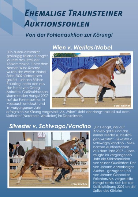FOHLENAUKTION IN TRAUNSTEIN - Pferdezuchtverband ...
