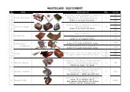 WASTELAND EQUIPMENT - GURPS Fallout